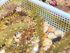 -旺角小渔村(幸福中路店)