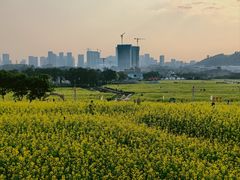 -光明小镇欢乐田园