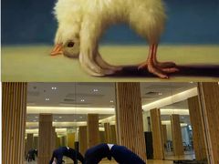 -天行健身＆天行拳馆跆拳道·格斗TXGYM