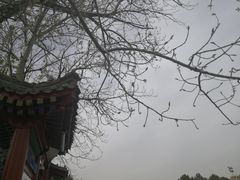 -卢沟桥文化旅游区