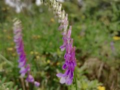 -中国天府农业博览园