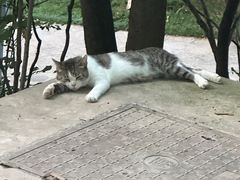 -西安市长乐公园