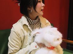 -猫色咖啡·猫咖