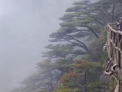 -黄山风景区