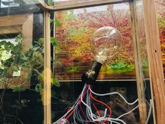 -出走咖啡·面包(宋庄店)