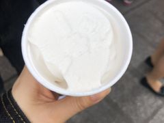 -洪馨椰子