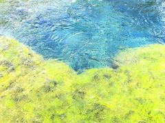 -九寨沟-树正沟