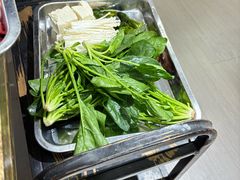 -金鼎雪山牦牛杂火锅(理县总店)