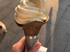 榴莲冰淇淋-肯德基(宝龙店)