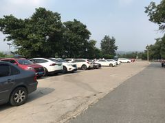 -大觉寺-停车场