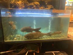 -衢农会·衢州菜·宴请(国际机场店)