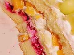 -今日·TODAY手作低脂动物奶油蛋糕定制(高新万达店)