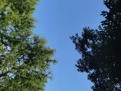 -南汇新城城市公园