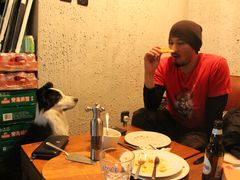 -百好乐宠物友好餐厅(朝外大街店)