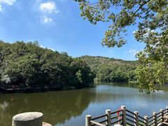 -白马涧龙池景区