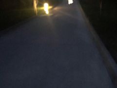 -秦始皇帝陵博物院-丽山园