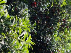 -东天目山风景区