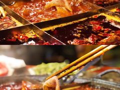 血毛肚-化龙桥九宫格火锅(清水河店)