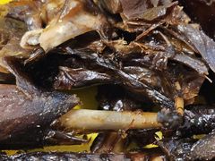 -金元源(新星店)