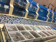 -印象高密·凤都国际大酒店