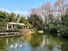 -茅庐·川粤精品私房菜(金沙遗址店)