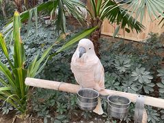 -南宫五洲植物乐园