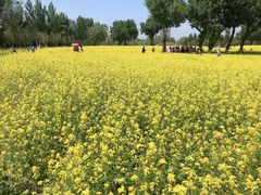 -长白岛森林公园