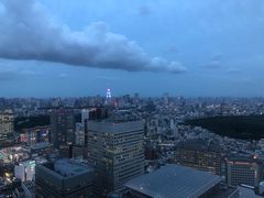 -东京都厅舍