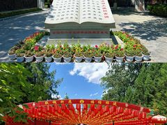 -大槐树寻根祭祖园