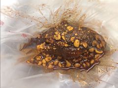 麻辣兔头-邓氏兔头