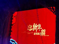 -广州长隆国际大马戏