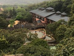 -天门沟九州驿站树上汤泉