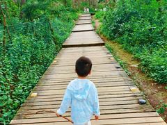 -帽儿山国家森林公园