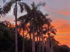 -东方太阳城淮扬餐厅(会所中餐厅店)