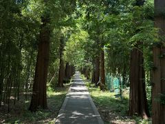 -同里国家湿地公园