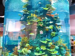 -福州罗源湾海洋世界旅游区