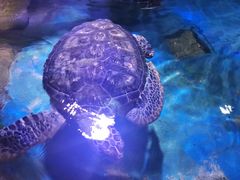 -多彩贵州城极地海洋世界