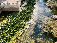 -丰台科技园生态主题公园
