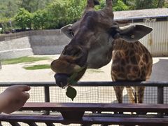 -泉州海丝野生动物世界