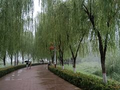 -咸阳湖景区