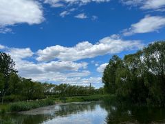 -大兴滨河森林公园