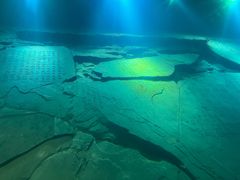 -白鹤梁水下博物馆