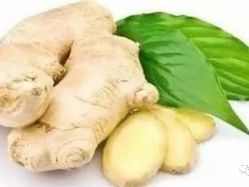 -姜美堂·蒸姜除湿の纤体美颜馆