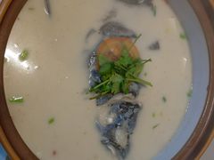 -全乐鱼馆·淳牌有机鱼直营店