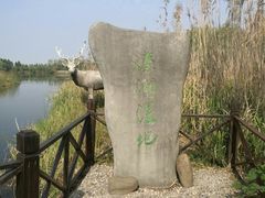 -溱湖国家湿地公园