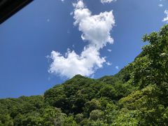 -关山草原