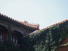 -故宫博物院(故宫)