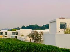 -龙坞茶村