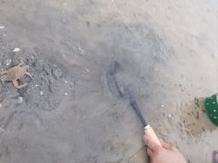 -北海金海湾红树林生态旅游区