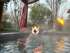 -扬州瘦西湖温泉
